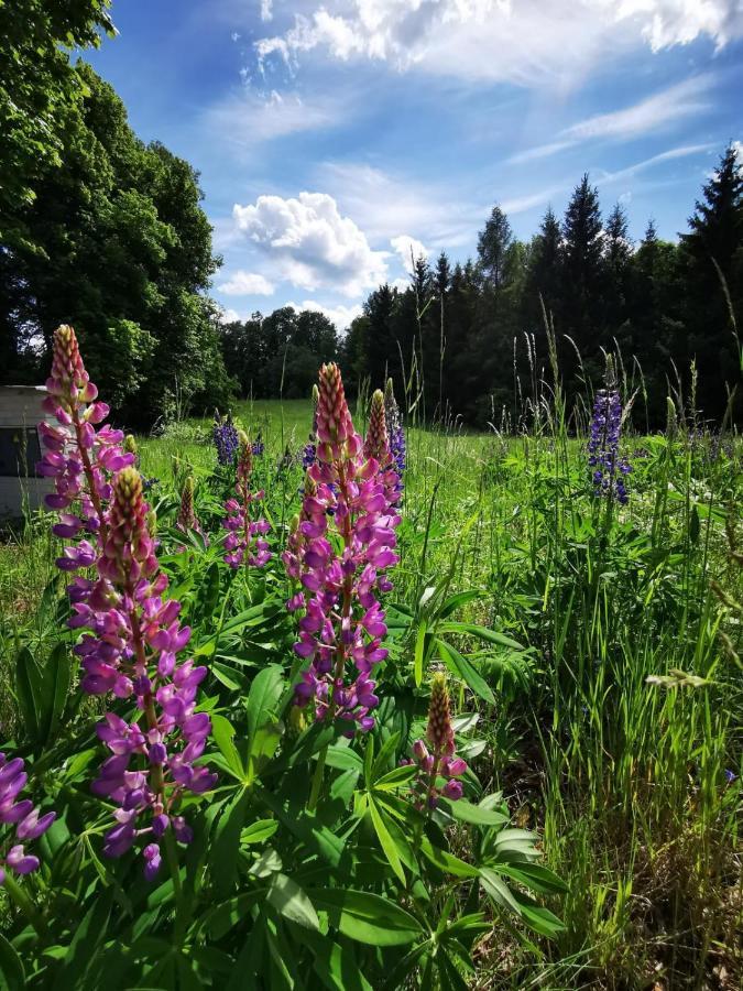 Cyklocamp Pod Landstejnem Hotel Stare Mesto  ภายนอก รูปภาพ