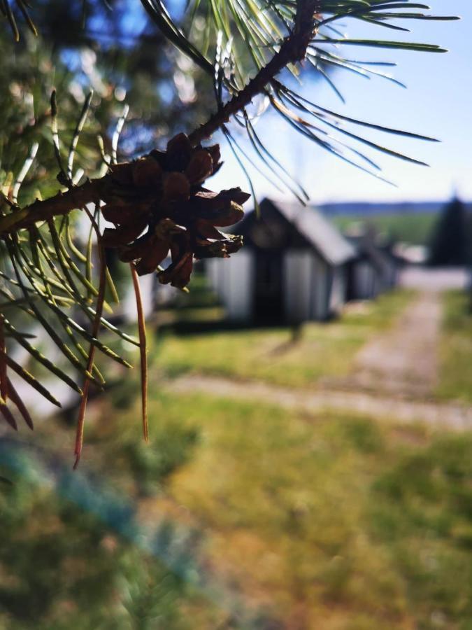 Cyklocamp Pod Landstejnem Hotel Stare Mesto  ภายนอก รูปภาพ